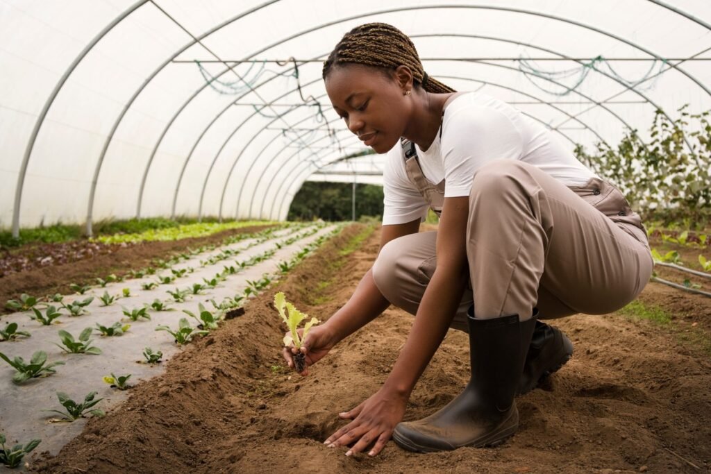 Agriculteur examinant des cultures issues de semences améliorées dans un champ ensoleillé, avec outils et plantation en arrière-plan.